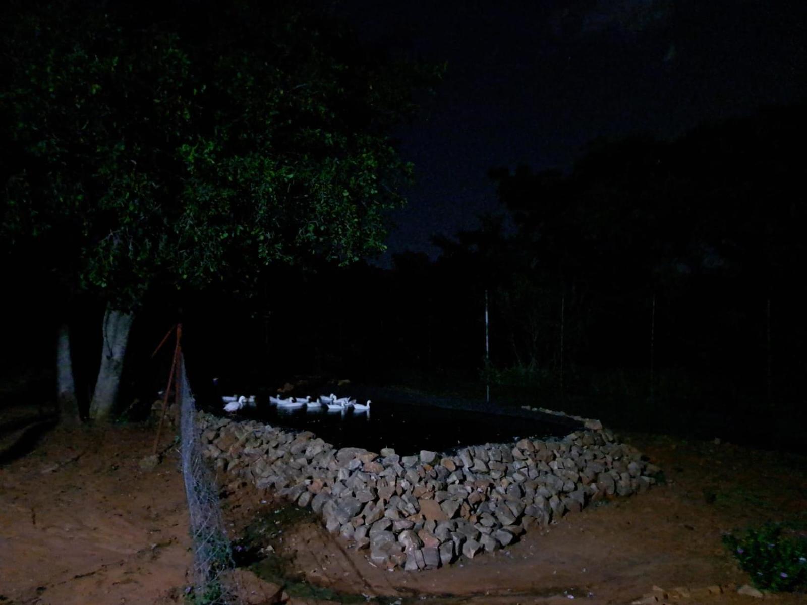 5 Sleeper Bushcamp Chalet Hartbeespoort Luaran gambar